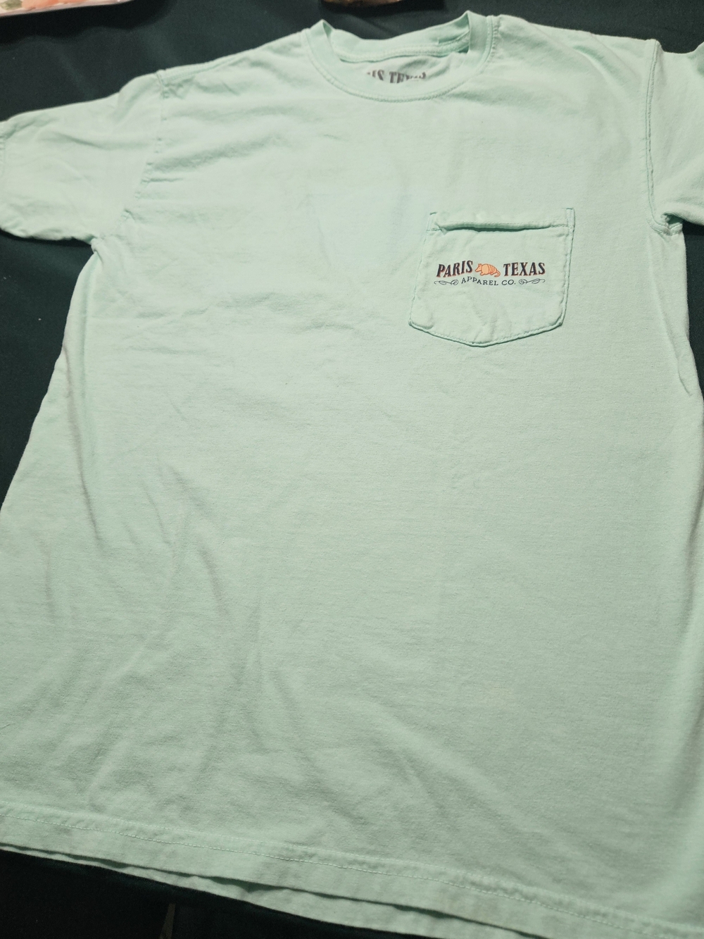Paris Texas Men’s Pocket T-Shirt — Mint